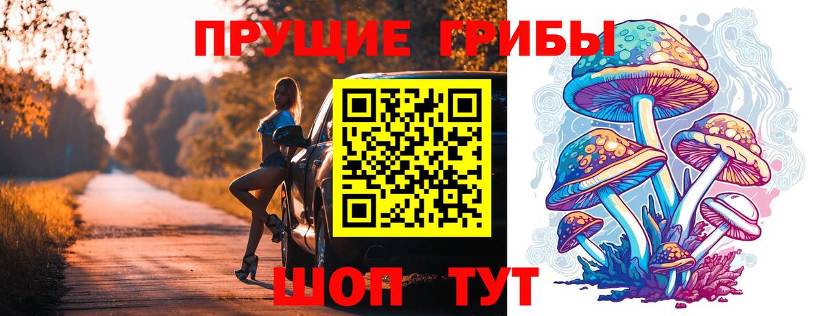 Псилоцибиновые грибы прущие грибы  Вход с VPN  закладки  Медногорск 